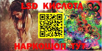 прущие грибы Малгобек