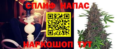 прущие грибы Малгобек