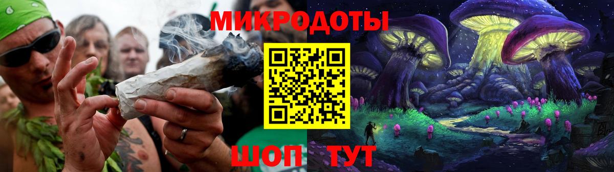 Псилоцибиновые грибы Psilocybe Сибай